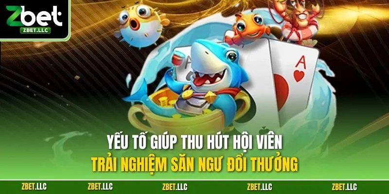 Yếu tố giúp thu hút hội viên trải nghiệm săn ngư đổi thưởng